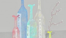 夏季瓶子爆料视频,揭秘夏日热点事件背后的真相